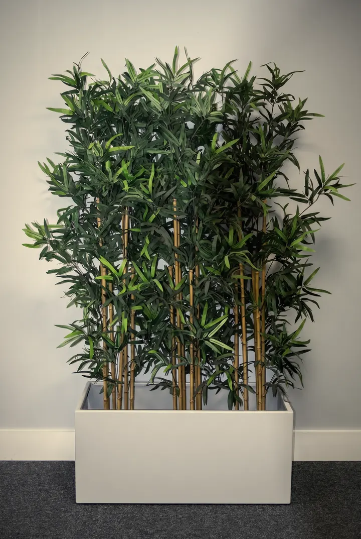 White planter with bamboo, indoors