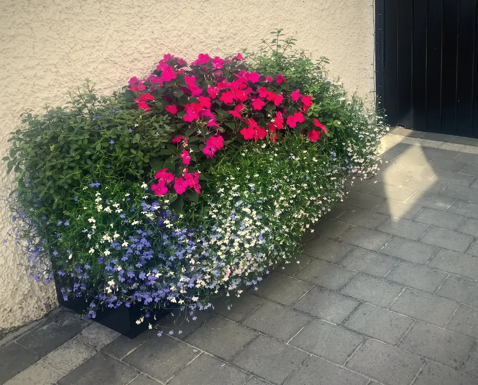 Planter overflowing with flowers